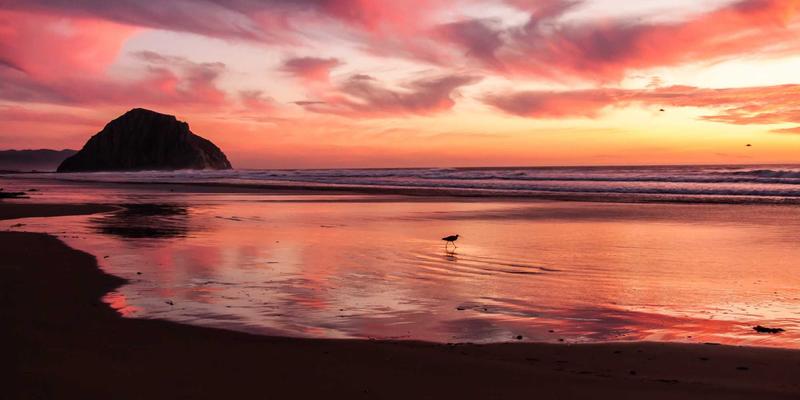 从帐篷到炊具:解码露营热背后的户外体育用品消费新趋势