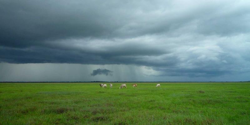 儿童体育用品安全选购全攻略：从篮球装备到成长型护具，赢阳体育专家解析