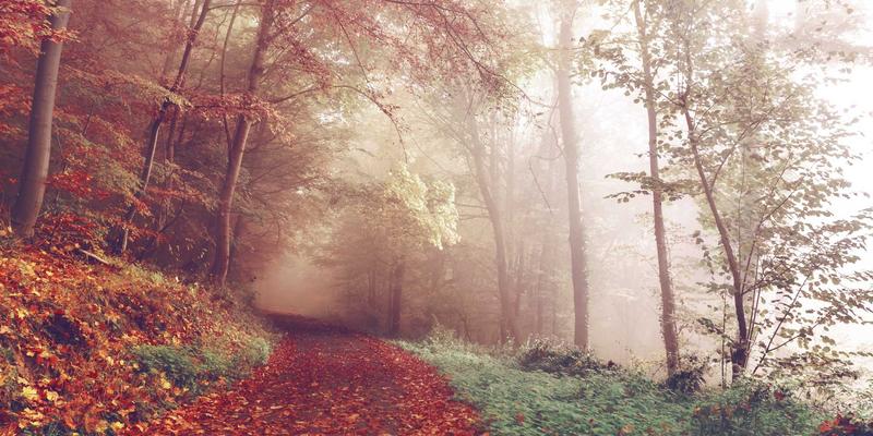 滑雪镜选购终极指南：球面与柱面镜片，视野、防雾与畸变如何决定你的滑雪体验？