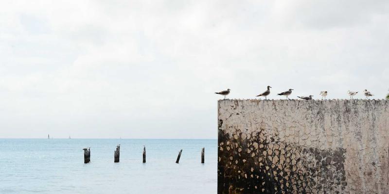 赢阳体育专业指南:儿童体育用品安全选购三要素——材质、尺寸与防护