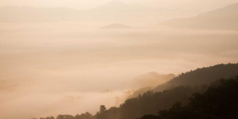 运动心率设备终极对决:胸带式心率带vs光电手表,谁才是数据精准之王?