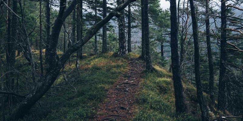 运动视觉革命：揭秘偏光、变色与镜片曲率如何影响你的赛场表现